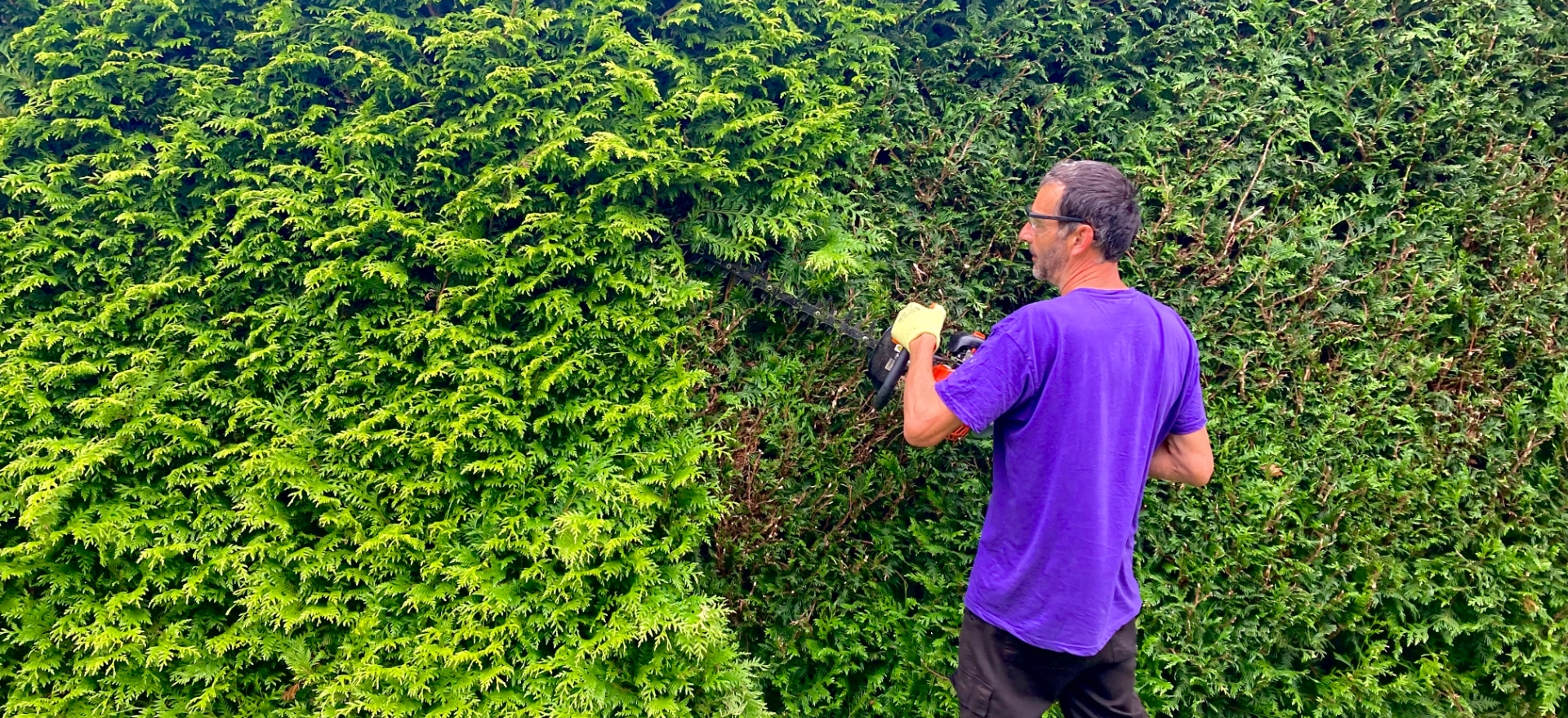 BTS Garden Services